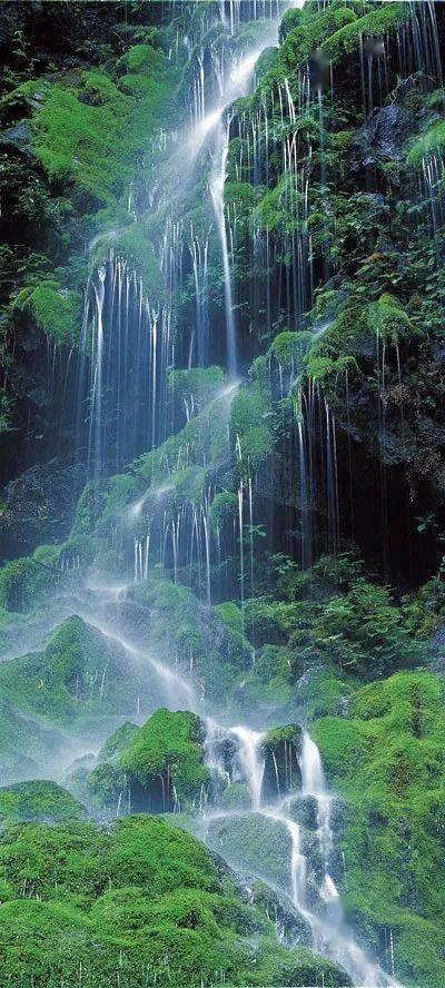 悬崖跳水运动